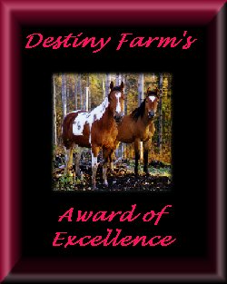 Excellence Award